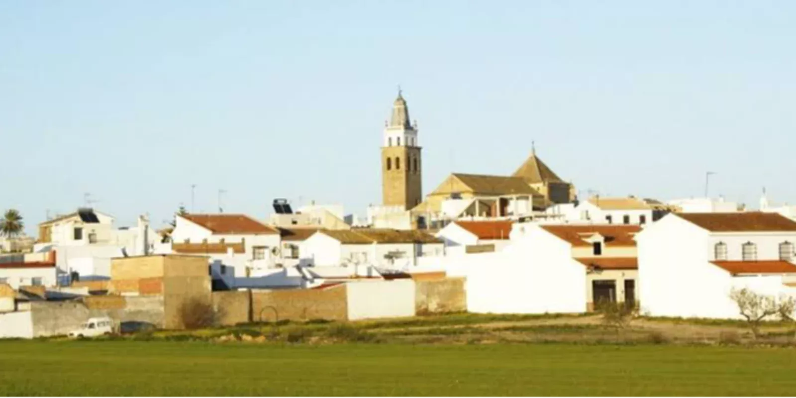 Salteras en el Aljarafe de Sevilla