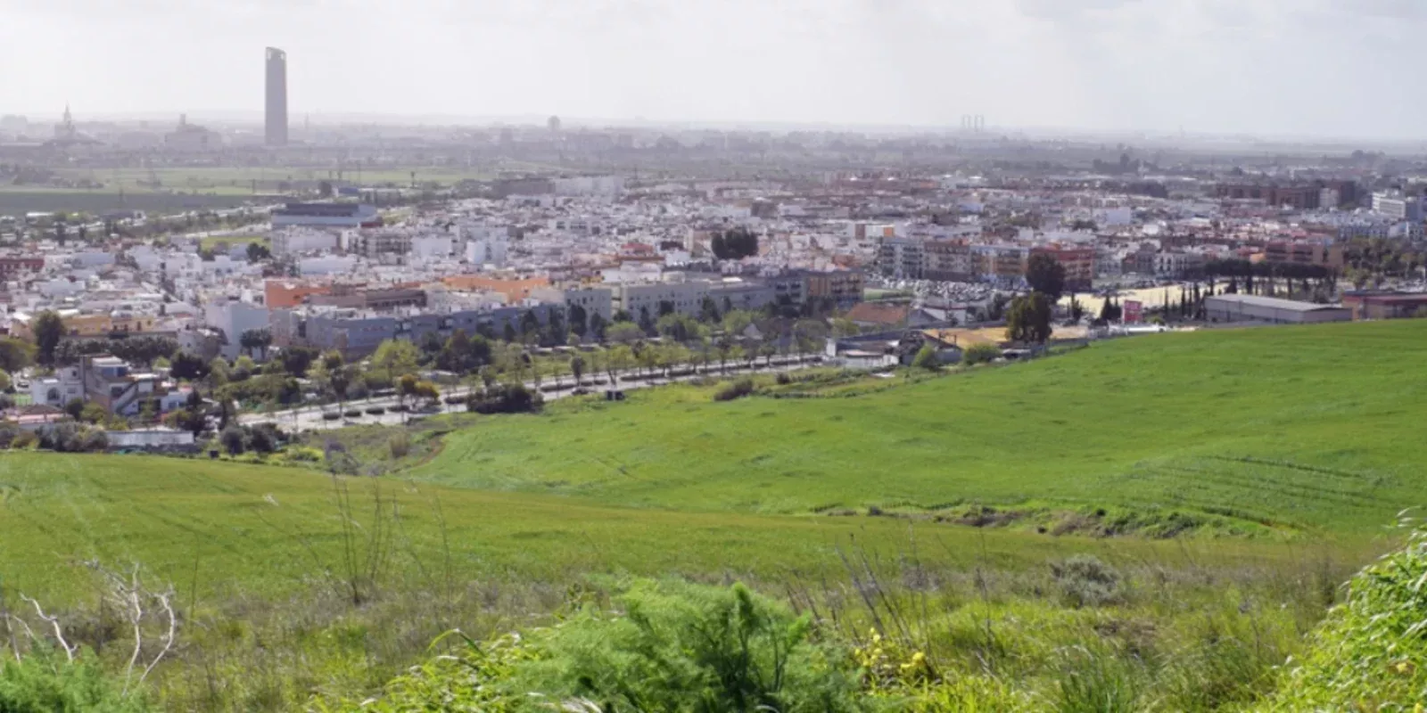 Camas en el Aljarafe de Sevilla