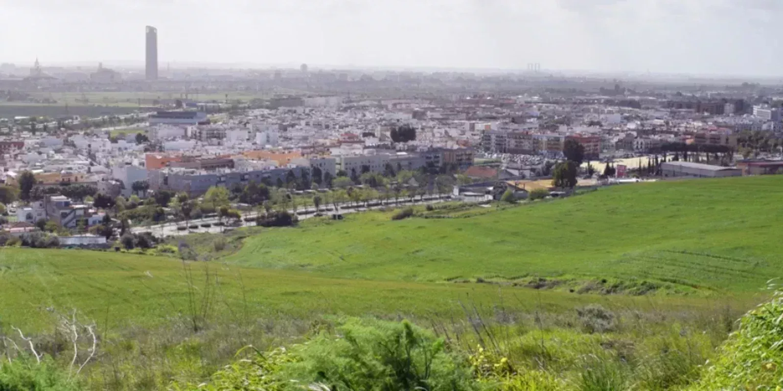 Camas en el Aljarafe de Sevilla